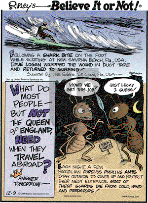 Ripley's Believe It or Not on Tuesday December 9, 2008 Comic Strip