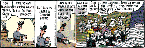 Overboard on Thursday March 15, 2018 Comic Strip