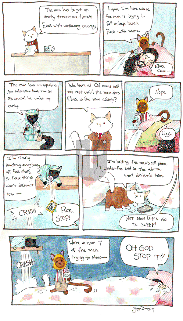 Breaking Cat News on Monday December 29, 2014 Comic Strip