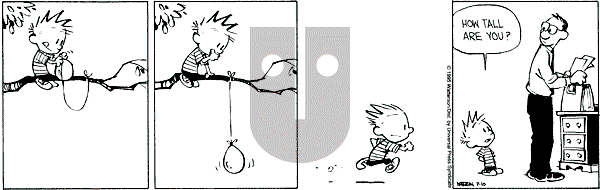 Calvin and Hobbes - Monday July 10, 1995 Comic Strip
