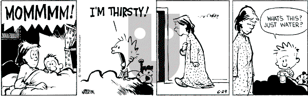 Calvin and Hobbes - Saturday June 29, 1991 Comic Strip