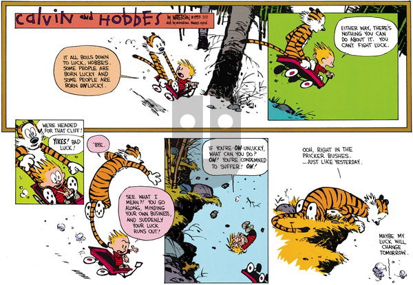 Calvin and Hobbes on Sunday April 18, 1993 Comic Strip