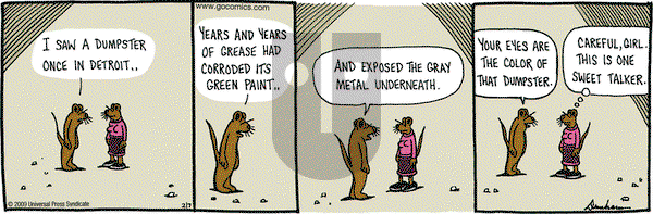 Overboard on Saturday February 7, 2009 Comic Strip
