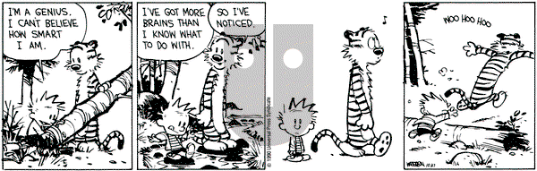 Calvin and Hobbes on Saturday October 27, 1990 Comic Strip