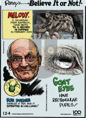 Ripley's Believe It or Not on Wednesday December 4, 2019 Comic Strip
