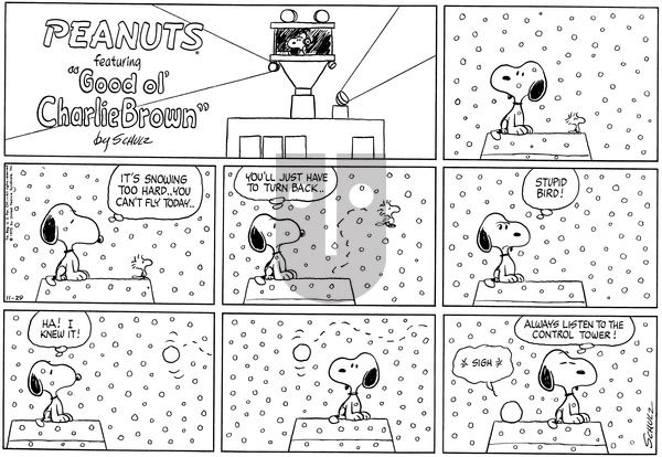 Peanuts on Sunday November 29, 1970 Comic Strip