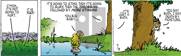 Over the Hedge on Monday April 13, 2015 Comic Strip