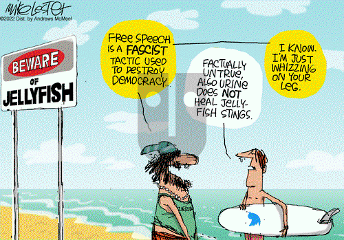 Mike Lester - Friday December 2, 2022 Comic Strip