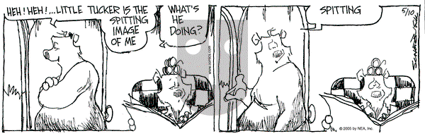 The Grizzwells on Tuesday May 10, 2005 Comic Strip