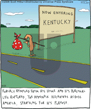 The Argyle Sweater - Monday June 23, 2008 Comic Strip