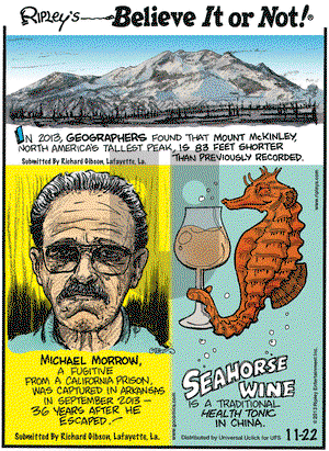 Ripley's Believe It or Not on Friday November 22, 2013 Comic Strip