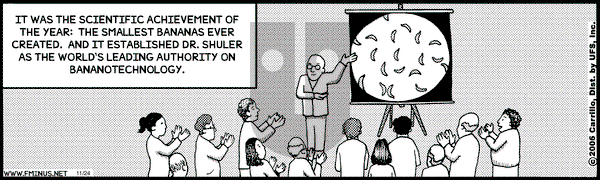 F Minus on Friday November 24, 2006 Comic Strip