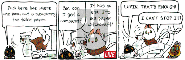 Breaking Cat News on Friday January 4, 2019 Comic Strip
