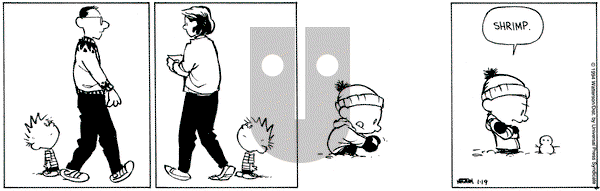 Calvin and Hobbes on Wednesday January 19, 1994 Comic Strip