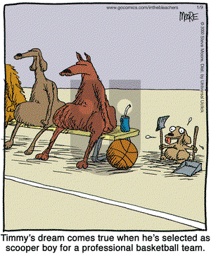 In the Bleachers on Monday January 9, 2012 Comic Strip
