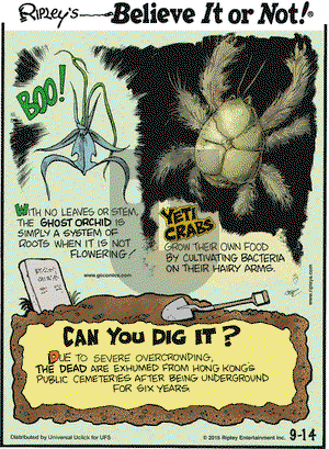 Ripley's Believe It or Not on Monday September 14, 2015 Comic Strip