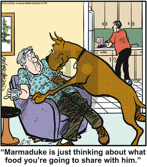 Marmaduke on Monday June 13, 2022 Comic Strip