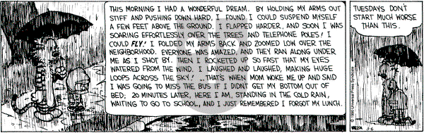 Calvin and Hobbes on Tuesday March 6, 1990 Comic Strip