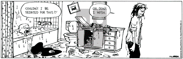 Calvin and Hobbes on Wednesday August 16, 1995 Comic Strip