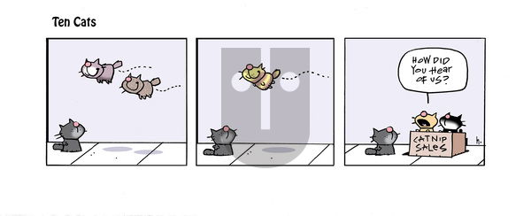 Ten Cats - Thursday August 1, 2024 Comic Strip