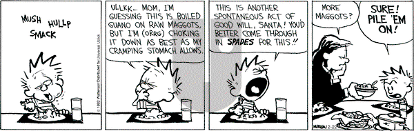 Calvin and Hobbes - Saturday December 22, 2012 Comic Strip