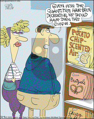 The Flying McCoys on Thursday December 4, 2025 Comic Strip