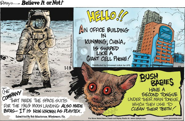 Ripley's Believe It or Not on Sunday January 19, 2014 Comic Strip