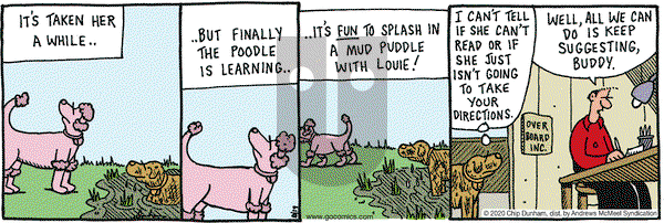 Overboard on Wednesday August 19, 2020 Comic Strip