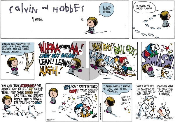 Calvin and Hobbes - Sunday February 11, 1990 Comic Strip
