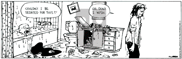 Calvin and Hobbes - Wednesday August 16, 1995 Comic Strip