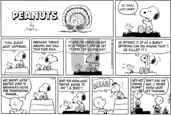 Peanuts - Sunday November 22, 1992 Comic Strip