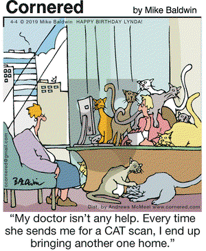 Cornered on Thursday April 4, 2019 Comic Strip