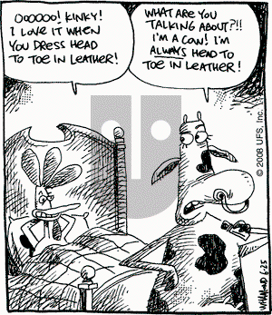 Reality Check on Wednesday June 25, 2008 Comic Strip