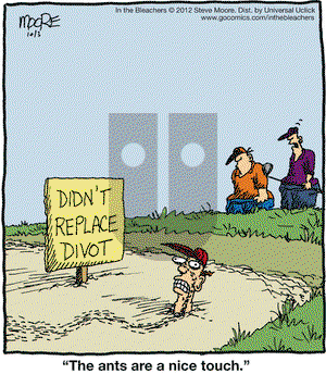 In the Bleachers on Wednesday October 3, 2012 Comic Strip