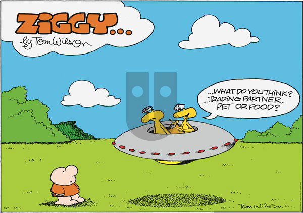 Ziggy on Sunday January 27, 2013 Comic Strip
