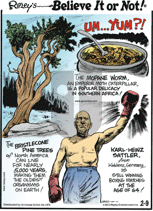 Ripley's Believe It or Not on Saturday February 9, 2013 Comic Strip