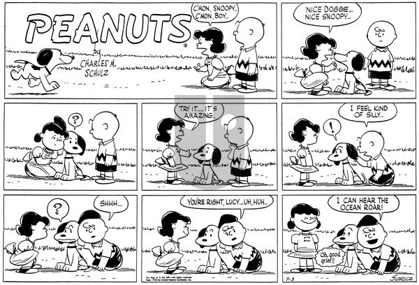 Peanuts on Sunday July 3, 1955 Comic Strip