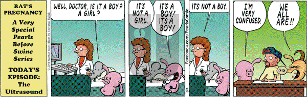 Pearls Before Swine - Monday August 4, 2014 Comic Strip