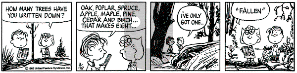 Peanuts on Thursday March 18, 1982 Comic Strip
