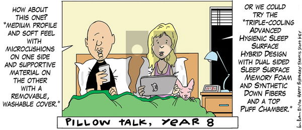 The Big Picture - Saturday August 1, 2020 Comic Strip