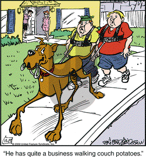 Marmaduke - Tuesday November 17, 2009 Comic Strip