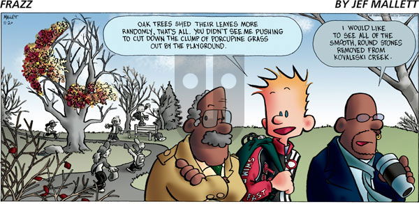 Frazz - Sunday November 20, 2011 Comic Strip