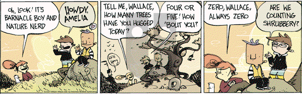 Wallace the Brave on Friday May 7, 2021 Comic Strip