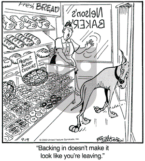 Marmaduke on Tuesday September 19, 2000 Comic Strip