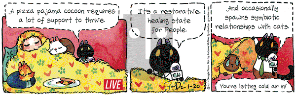 Breaking Cat News on Wednesday January 20, 2021 Comic Strip