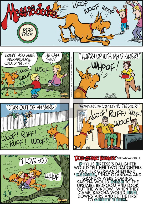 Marmaduke on Sunday December 8, 2019 Comic Strip