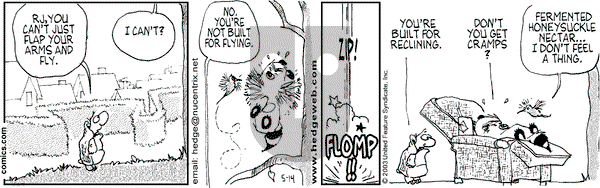 Over the Hedge on Wednesday May 14, 2003 Comic Strip