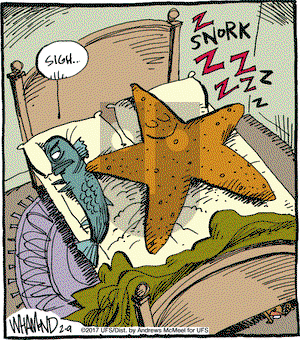 Reality Check on Thursday February 9, 2017 Comic Strip