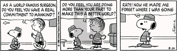 Peanuts - Wednesday August 30, 1989 Comic Strip