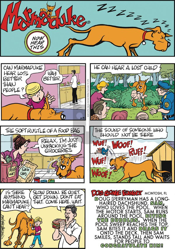 Marmaduke on Sunday November 3, 2019 Comic Strip